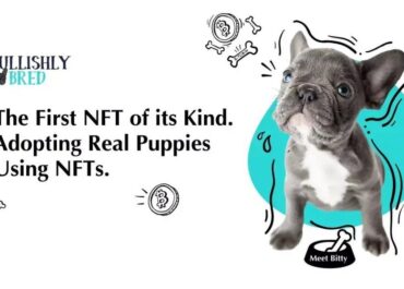 Bulldogs en Blockchain: obtenga el cachorro real para NFT